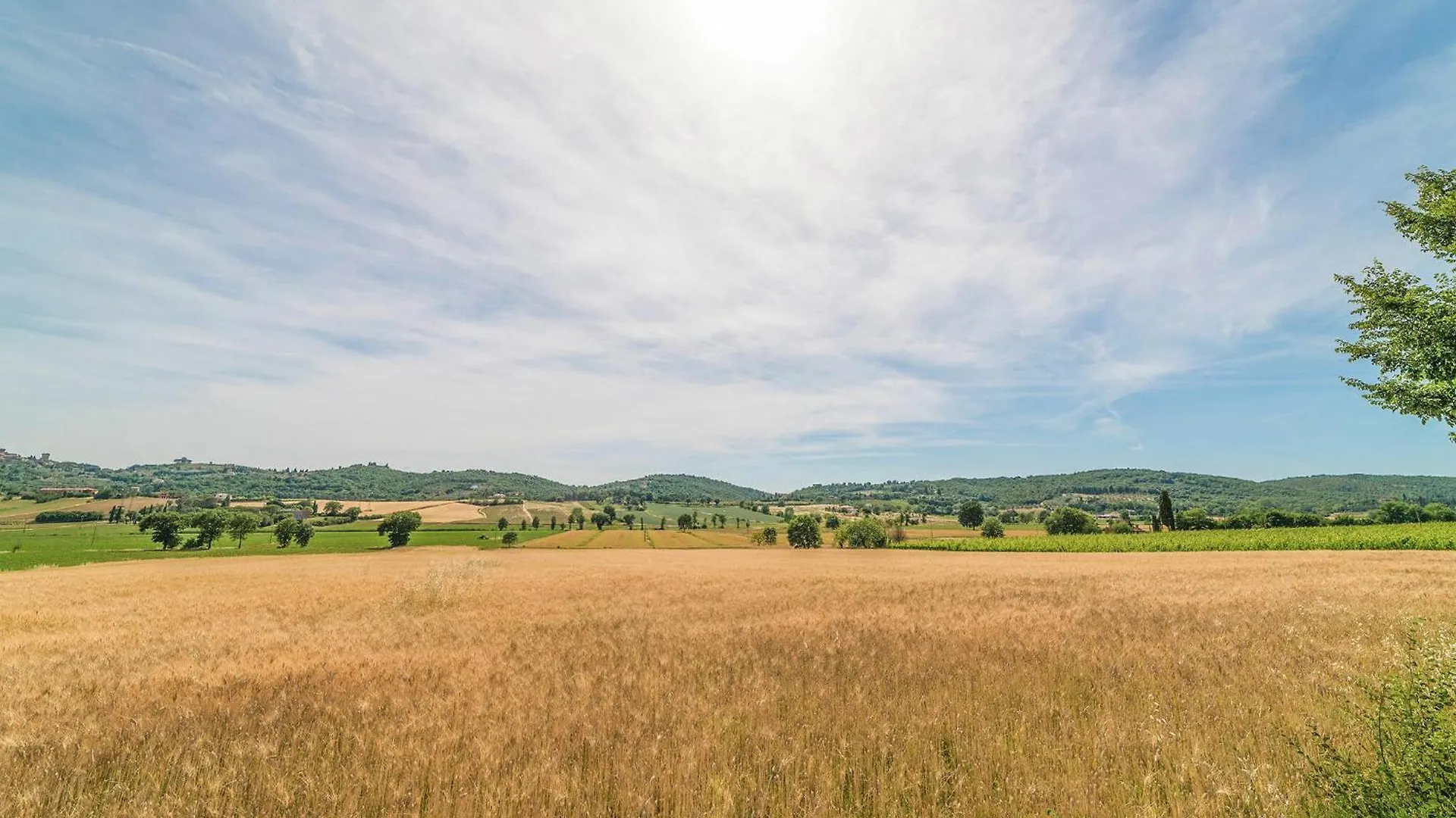 Amazing Home In Lucignano With Kitchen 0*,